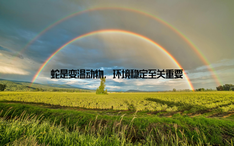 蛇是变温动物, 环境稳定至关重要