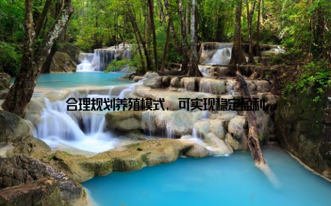 合理规划养殖模式, 可实现稳定盈利