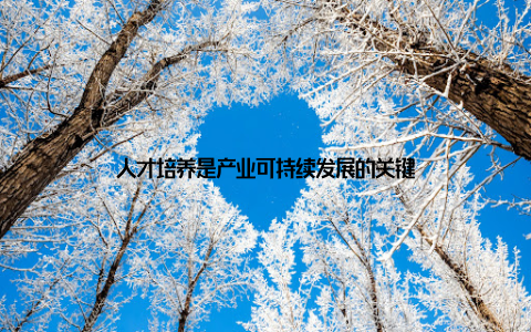 人才培养是产业可持续发展的关键