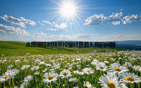 水质调控对我来说曾经是最头疼的问题