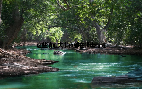 这些清道夫半夜都在吸毒氨氮