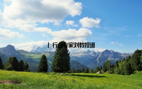 」行业专家刘教授道