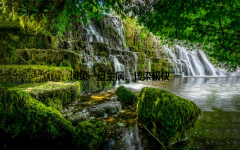 河贝一旦生病, 传染极快