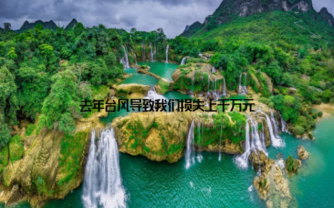 去年台风导致我们损失上千万元