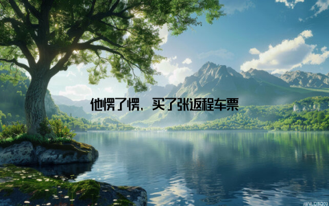 他愣了愣, 买了张返程车票