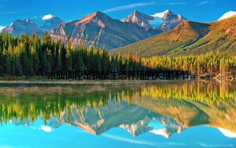 水质调控是螃蟹生态养殖的关键环节