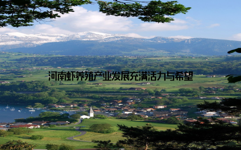 河南虾养殖产业发展充满活力与希望