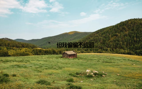 ” 但我偏偏不信邪