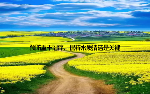 预防重于治疗, 保持水质清洁是关键