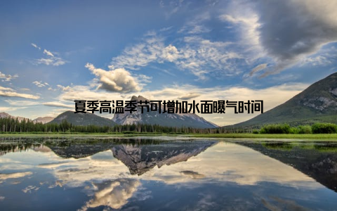 夏季高温季节可增加水面曝气时间