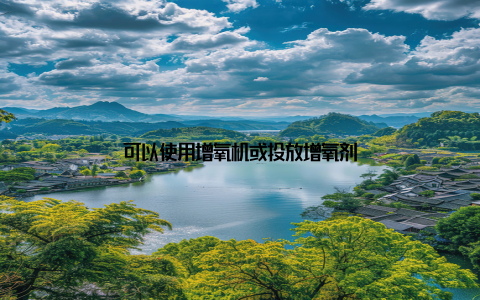 可以使用增氧机或投放增氧剂