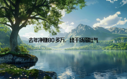 去年净赚80多万, 终于扬眉吐气