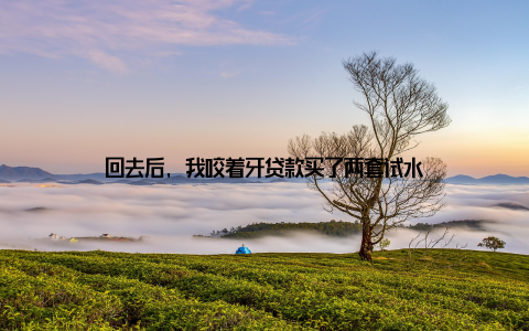 回去后, 我咬着牙贷款买了两套试水