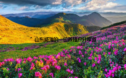 ”山东威海的一位养殖户分享道