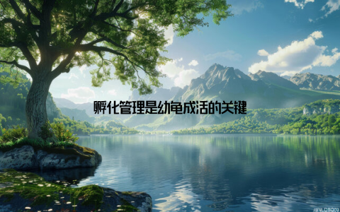 孵化管理是幼龟成活的关键