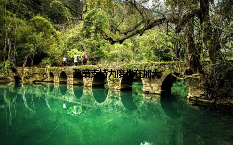 政策支持力度也在加大