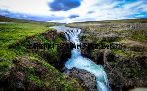 定期在饲料中添加黄芪多糖增强免疫力