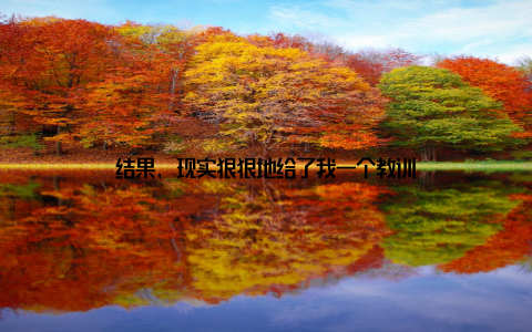 结果, 现实狠狠地给了我一个教训