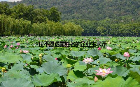 一位不愿透露姓名的企业主表示