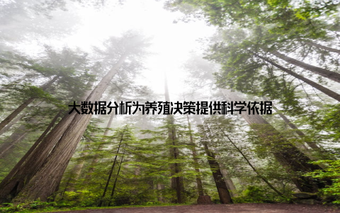 大数据分析为养殖决策提供科学依据