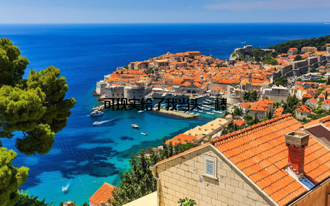 可现实给了我当头一棒