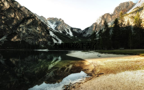 “不能再这么下去了