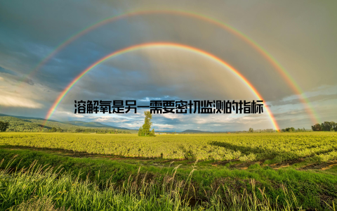 溶解氧是另一需要密切监测的指标