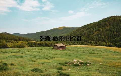 张明的选择并非个例