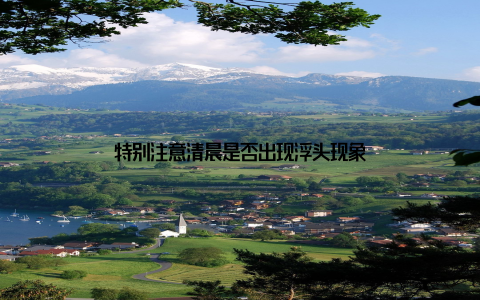 特别注意清晨是否出现浮头现象