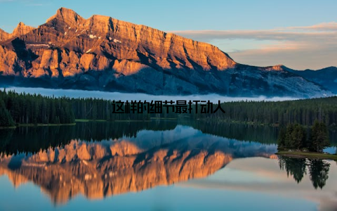 这样的细节最打动人