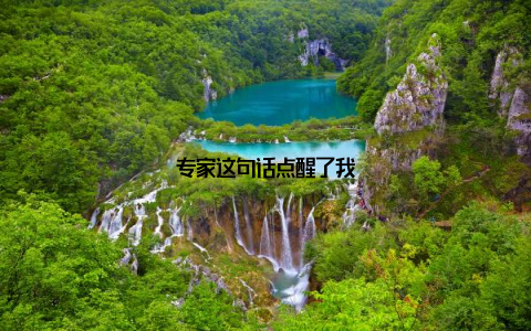 专家这句话点醒了我