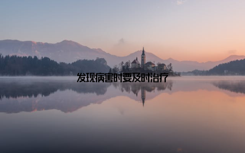 发现病害时要及时治疗