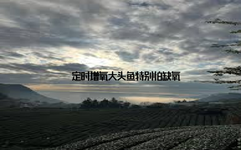– 定时增氧大头鱼特别怕缺氧