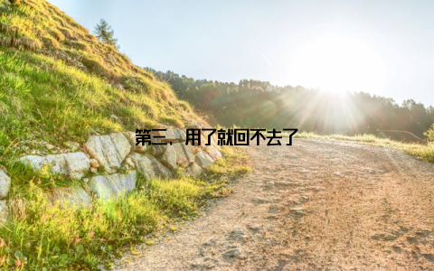 第三, 用了就回不去了