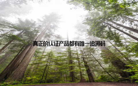 真正的认证产品都有唯一追溯码