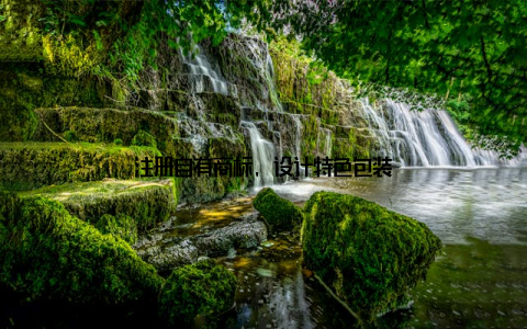 注册自有商标, 设计特色包装