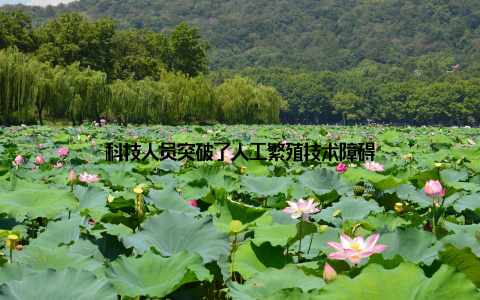 科技人员突破了人工繁殖技术障碍