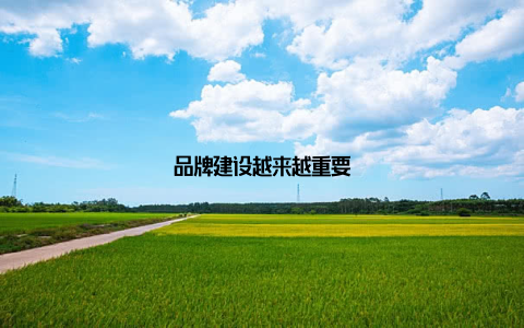 品牌建设越来越重要