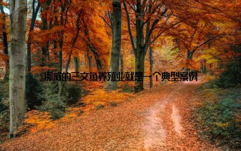 挪威的三文鱼养殖业就是一个典型案例