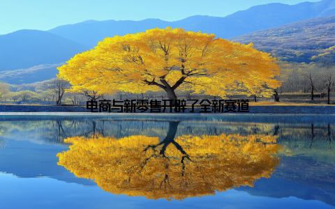 电商与新零售开辟了全新赛道