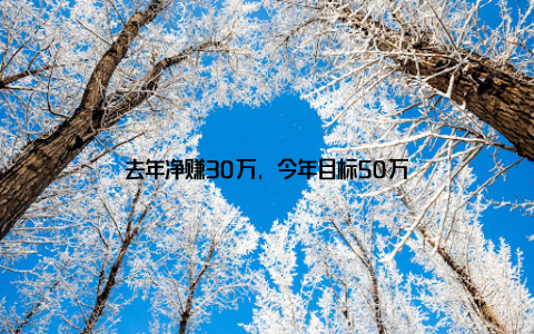 去年净赚30万, 今年目标50万