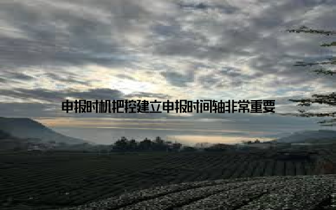 申报时机把控建立申报时间轴非常重要