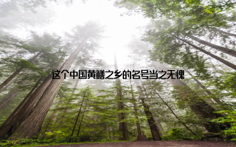 这个中国黄鳝之乡的名号当之无愧