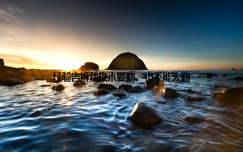 经验告诉我换水要勤, 但不能太勤