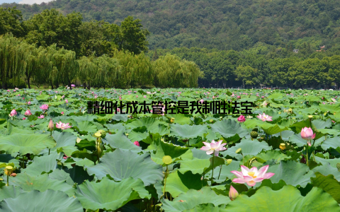 精细化成本管控是我制胜法宝