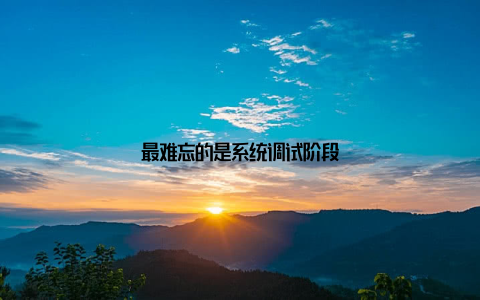 最难忘的是系统调试阶段