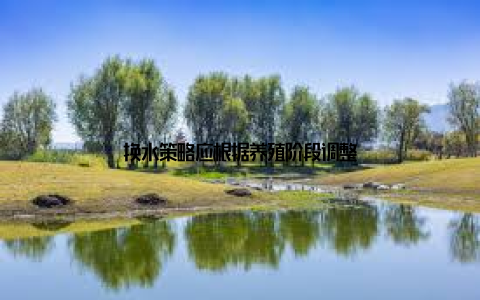 换水策略应根据养殖阶段调整