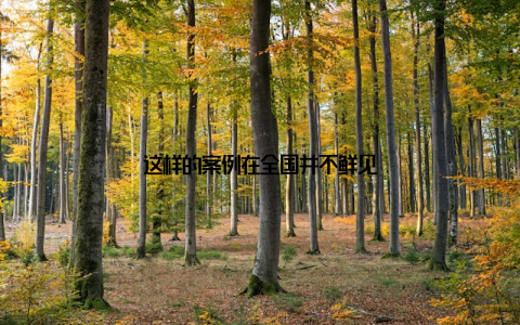 这样的案例在全国并不鲜见