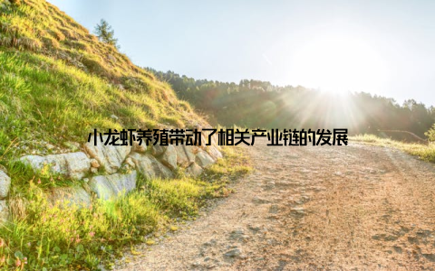 小龙虾养殖带动了相关产业链的发展