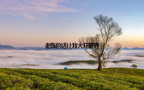 老陈的话让我大开眼界